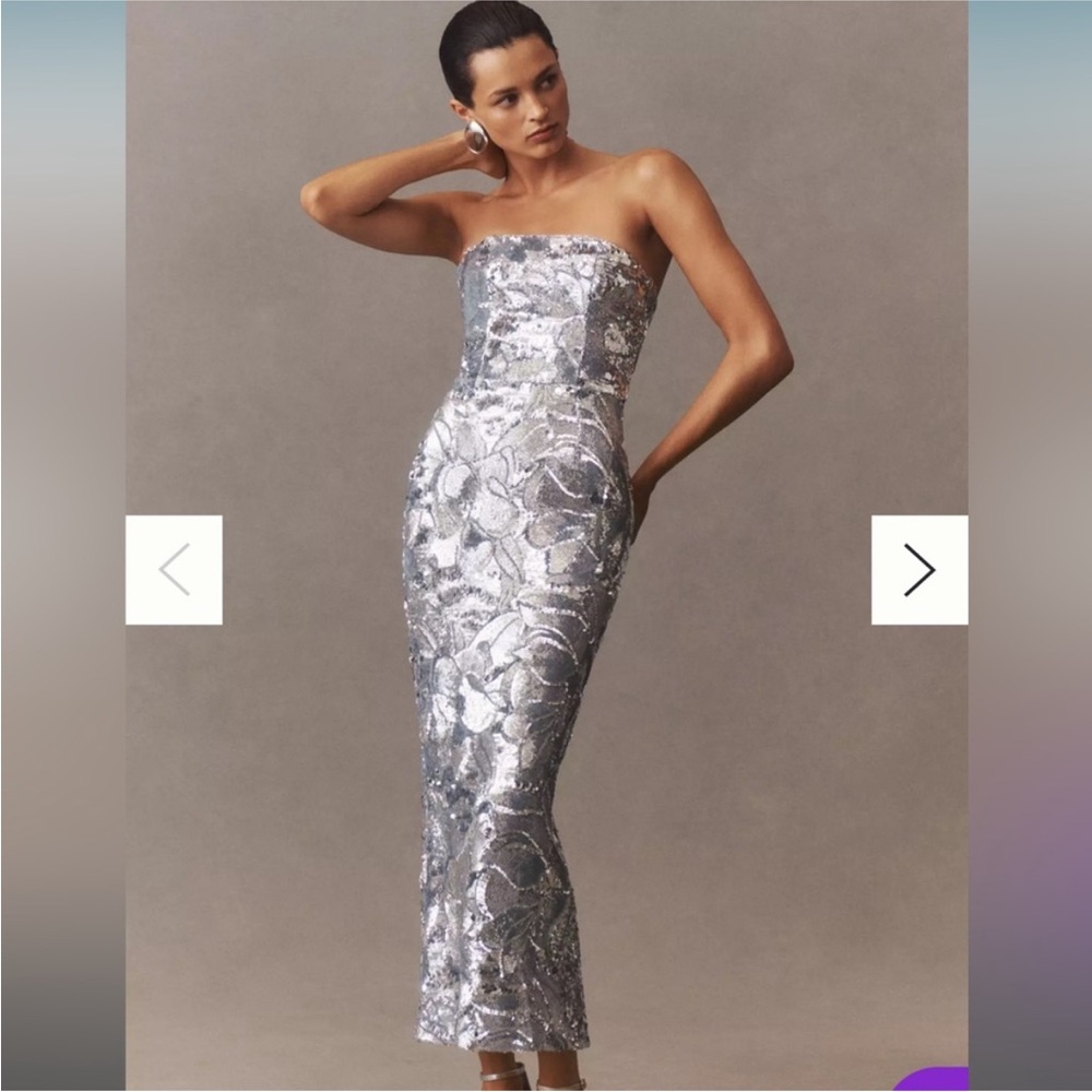 Helsi Leslie Sequin Silver Gown Anthropologie Gown